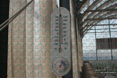 ʢrÎrތ،